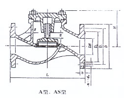 Marine flanged cast iron check valve