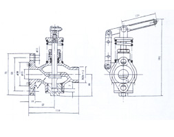 Self closing drain valve